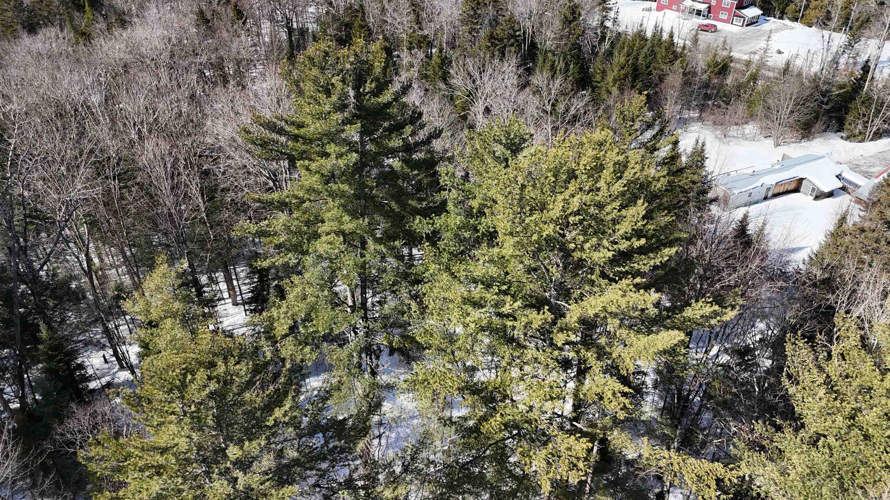 0 Mountain Road East Burke, VT 05832 - Photo 11 of 26