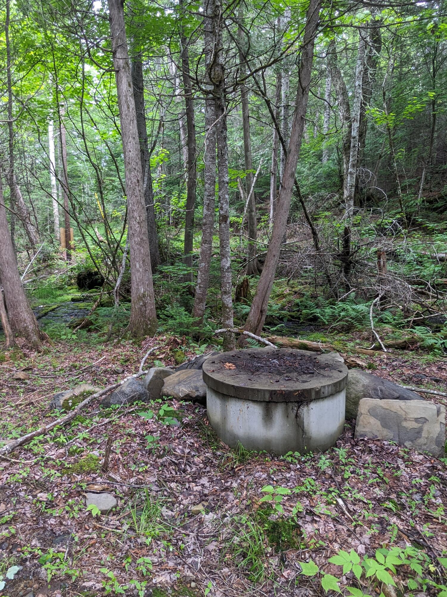 2 Greenville Road Shirley Mills, ME 04485 - Photo 33 of 40 PXL_20230715_213146058