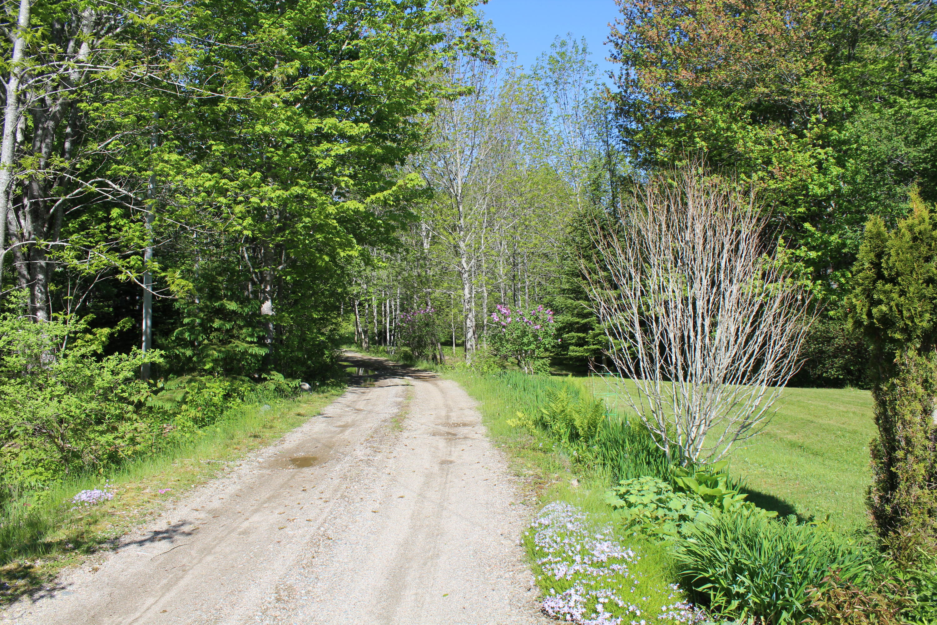 78 Dyer's Bay Road Steuben, ME 04680 - Photo 39 of 42 IMG_3756