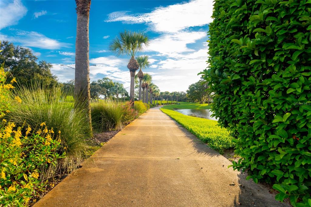 9316 Gentle Ben Court Weeki Wachee, FL 34613 - Photo 53 of 76