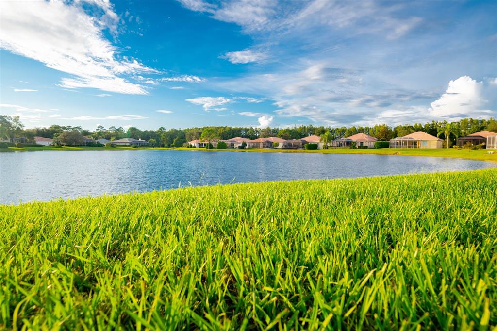 9316 Gentle Ben Court Weeki Wachee, FL 34613 - Photo 54 of 76