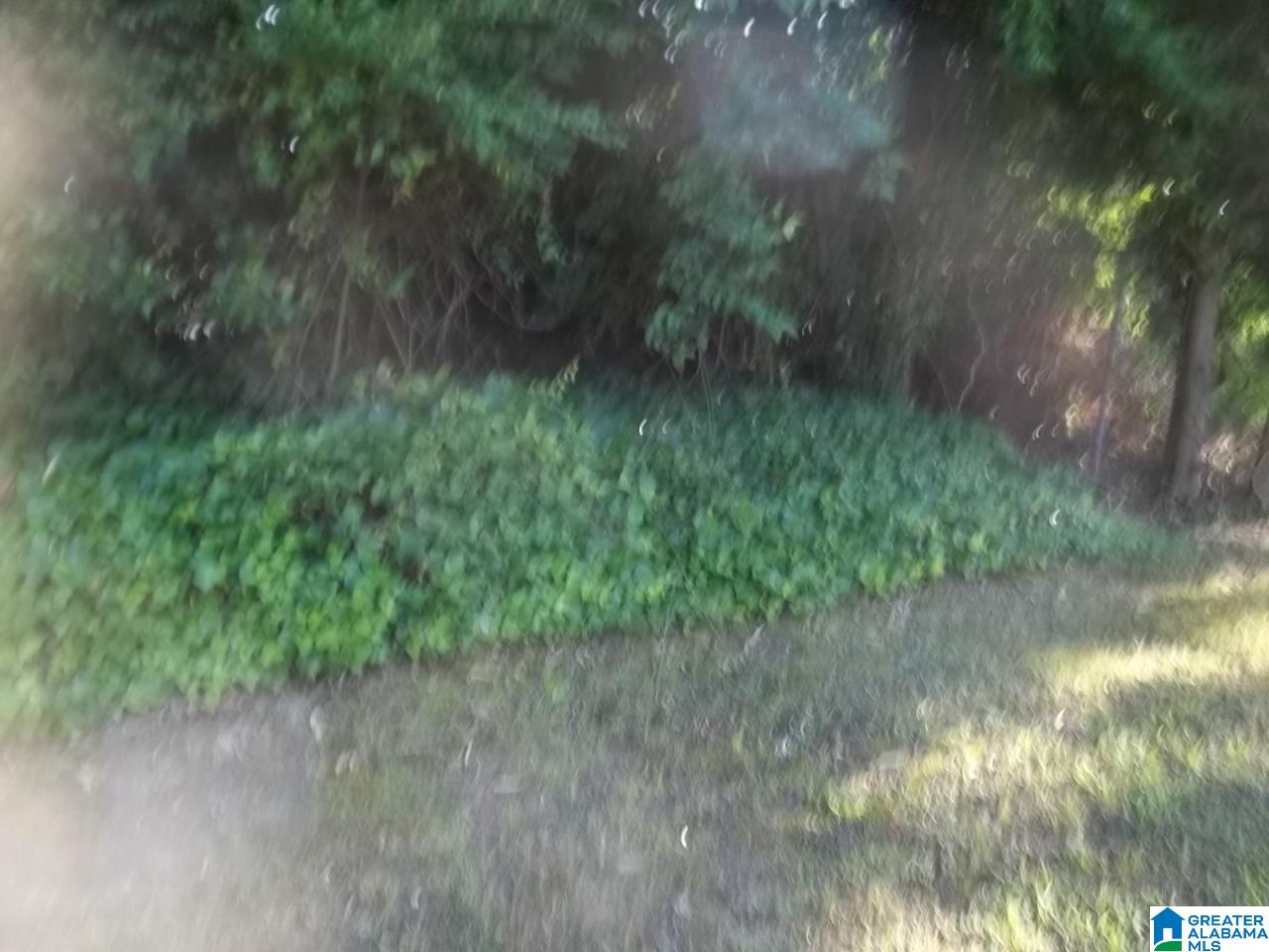 214 East 3rd Street Oxford, AL 36203 - Photo 9 of 28