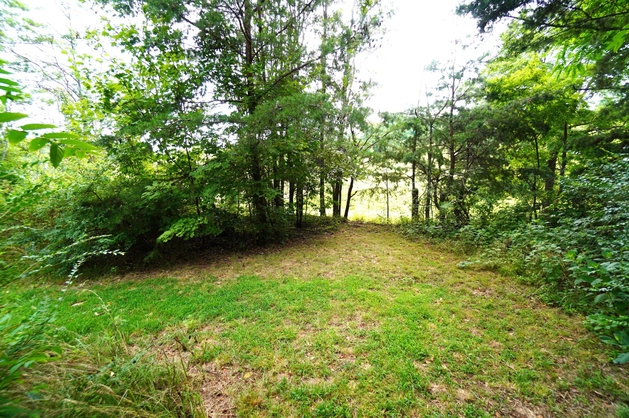 1271 Sager Road Dandridge, TN 37725 - Photo 33 of 41 Gallery Image 33
