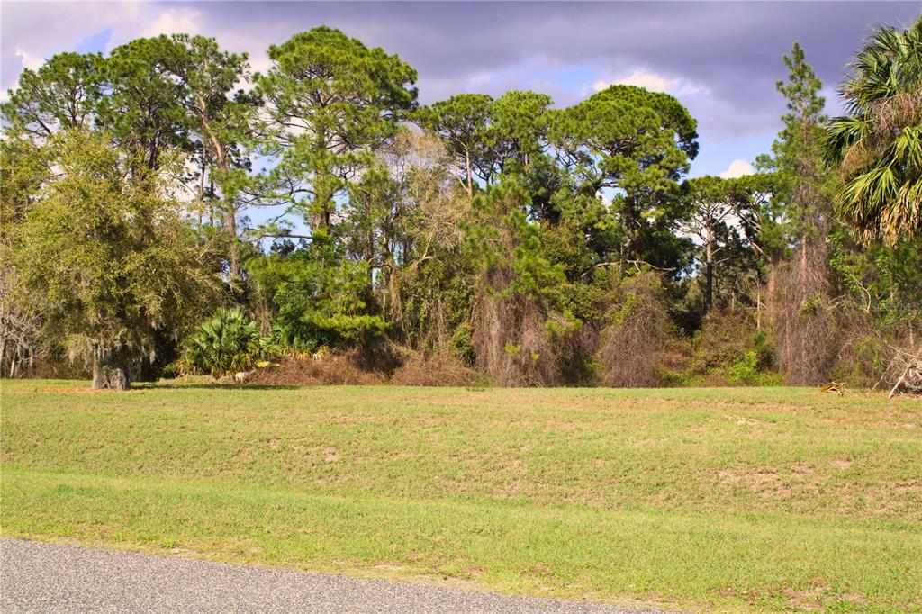 Ridge Road, Unit 47 Tavares, FL 32778 - Photo 41 of 41