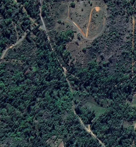 a view of a dry yard with trees all around