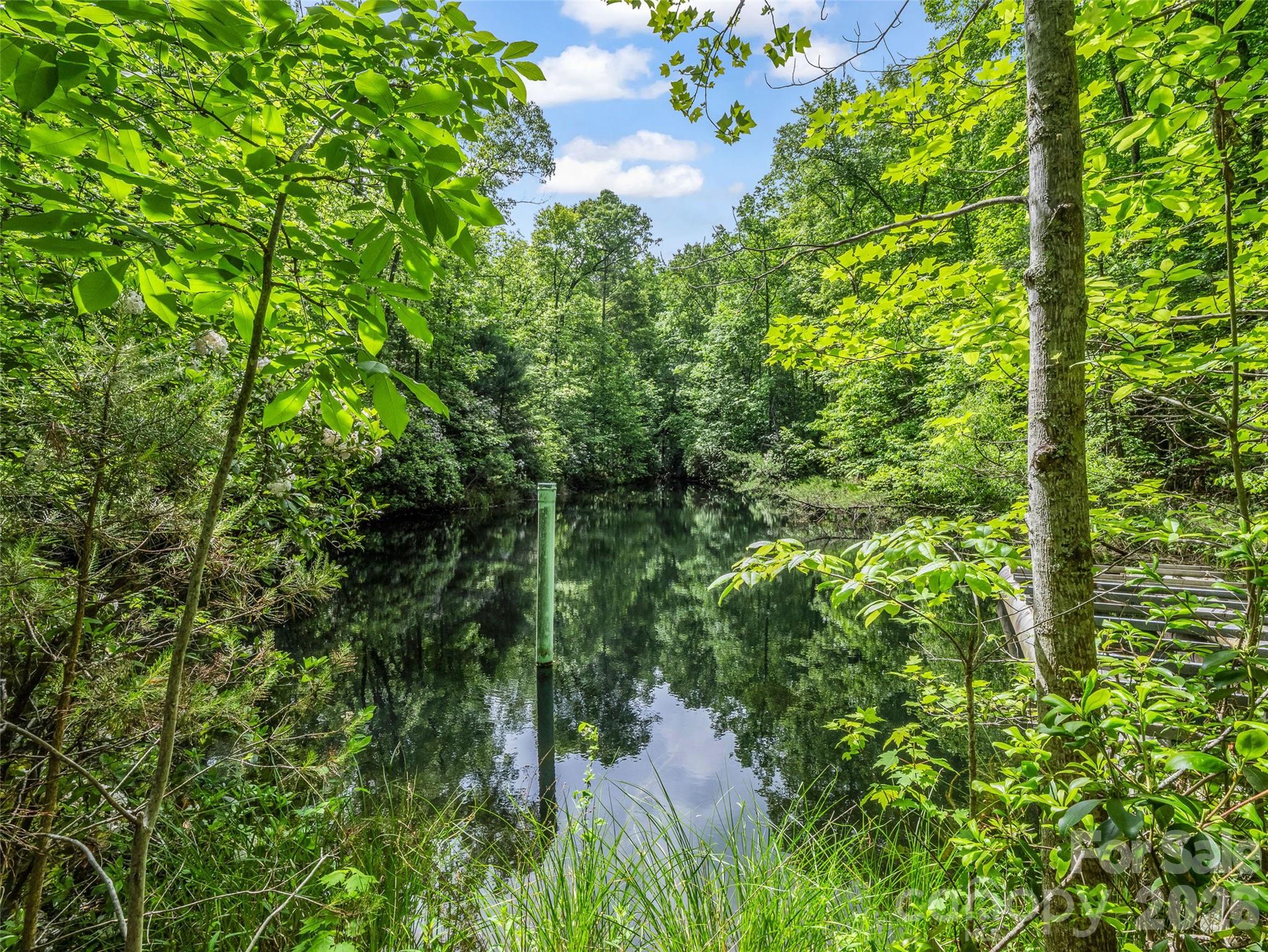 174 Rock Ridge Lake Lure, NC 28746 - Photo 41 of 48 a view of a forest