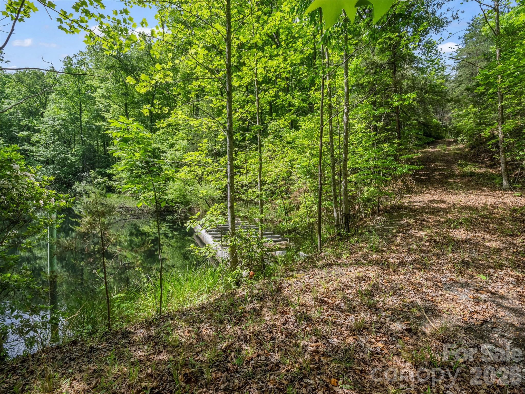 174 Rock Ridge Lake Lure, NC 28746 - Photo 42 of 48 a view of a yard with plants and large trees