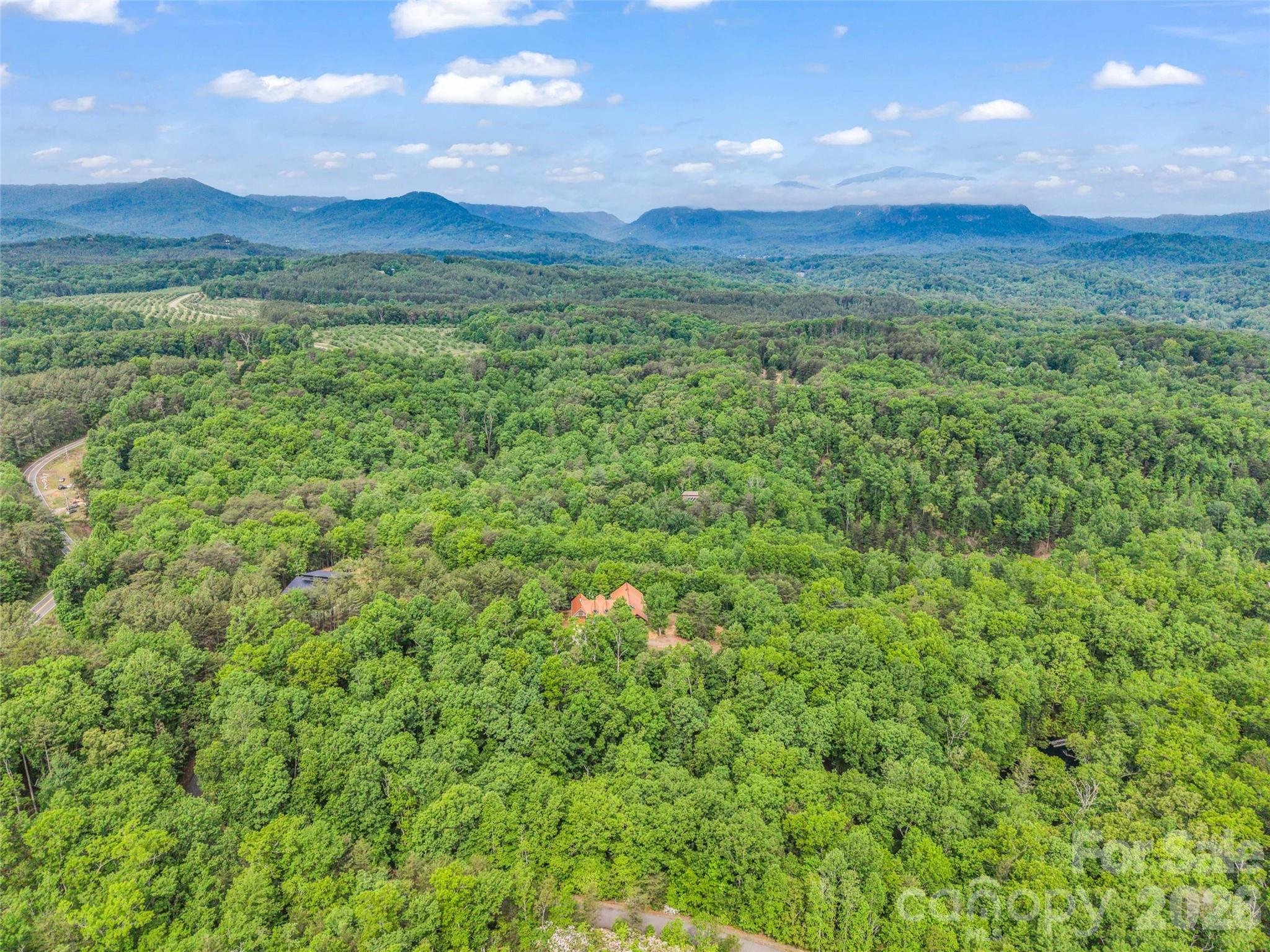 174 Rock Ridge Lake Lure, NC 28746 - Photo 44 of 48 a view of a lush green forest with lots of trees