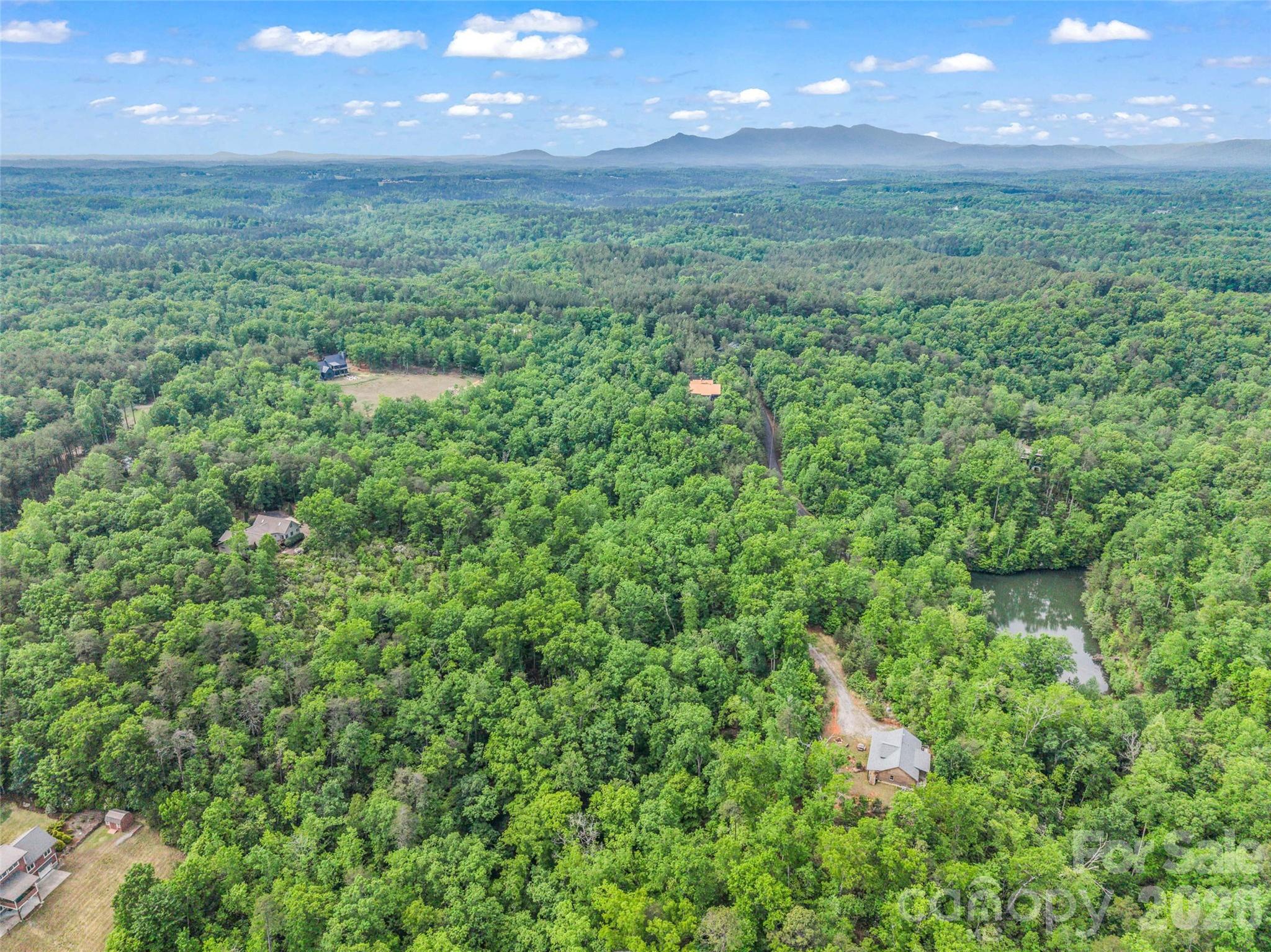174 Rock Ridge Lake Lure, NC 28746 - Photo 45 of 48 a view of a big yard with lots of green space
