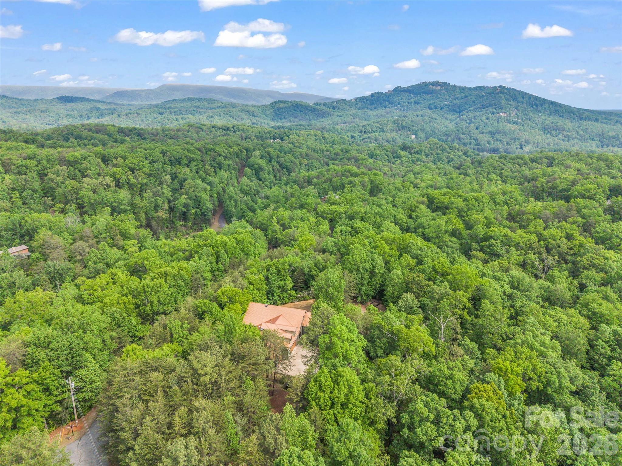 174 Rock Ridge Lake Lure, NC 28746 - Photo 48 of 48 a view of a big yard