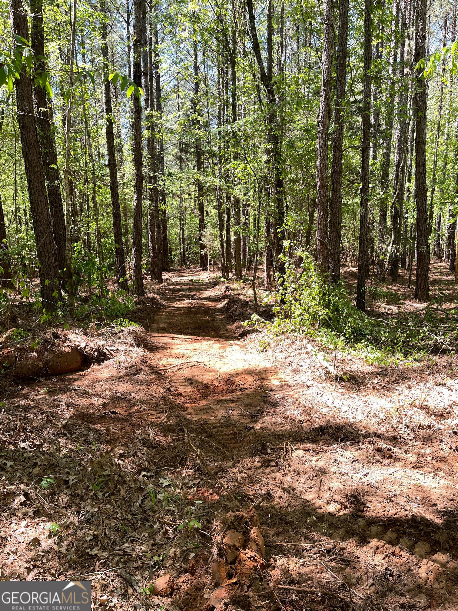 195 Sharon Road Norwood, GA 30821 - Photo 17 of 23