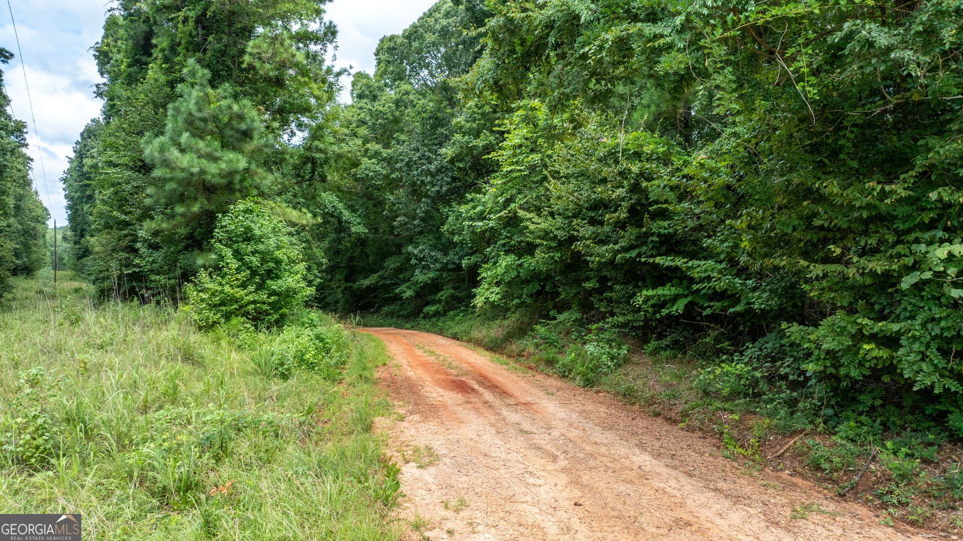 195 Sharon Road Norwood, GA 30821 - Photo 6 of 23