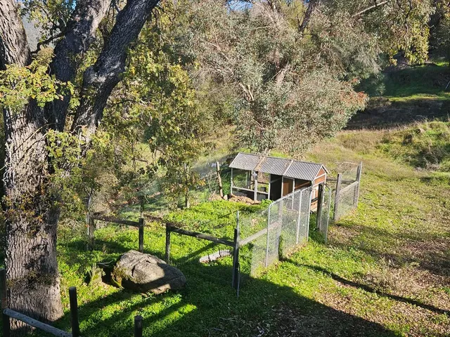 a view of a park with swings
