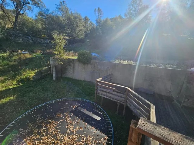 a view of a lush green outdoor space
