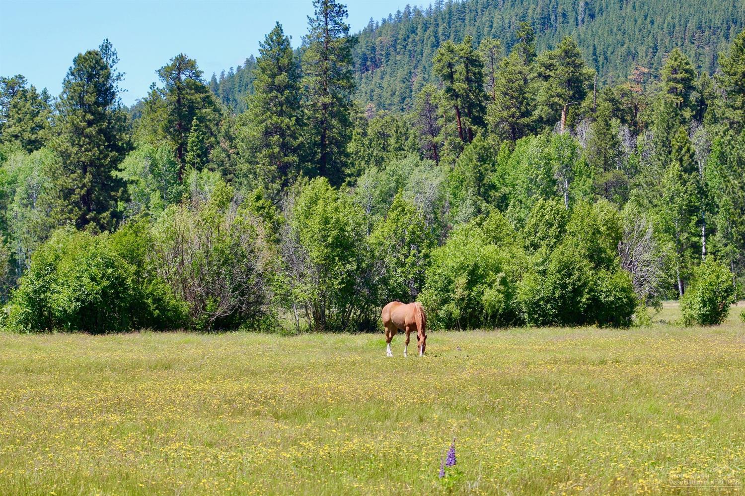 13780 Bishops Cap Black Butte Ranch, OR 97759 - Photo 9 of 12 Additional Photo