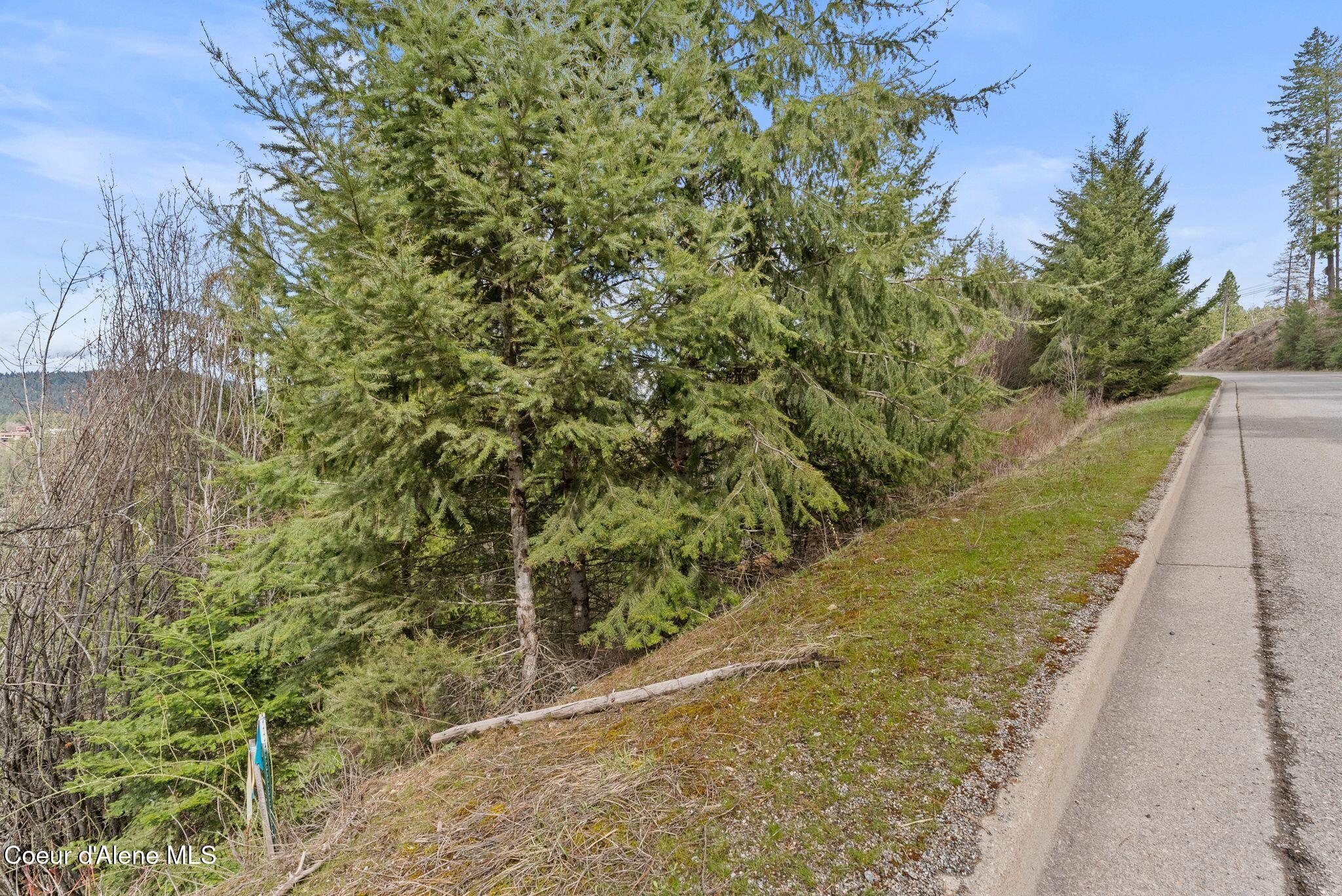 3005 East Potlatch Hill Road Coeur D'Alene, ID 83814 - Photo 12 of 24 mls_Inside-Spokane-Potlatch-4