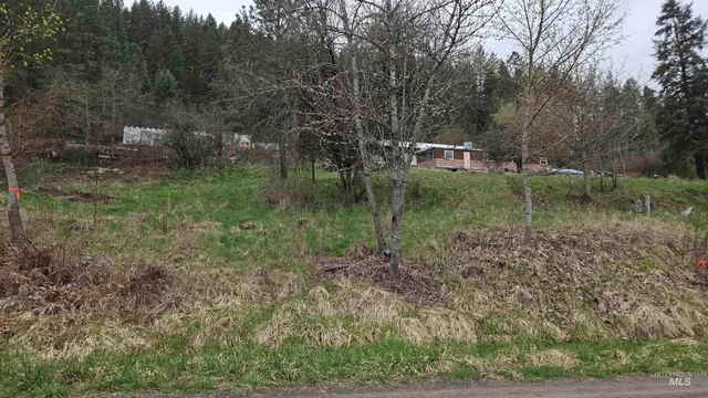 $41,000 | 43 Peck Id 83545, Peck, ID 83545