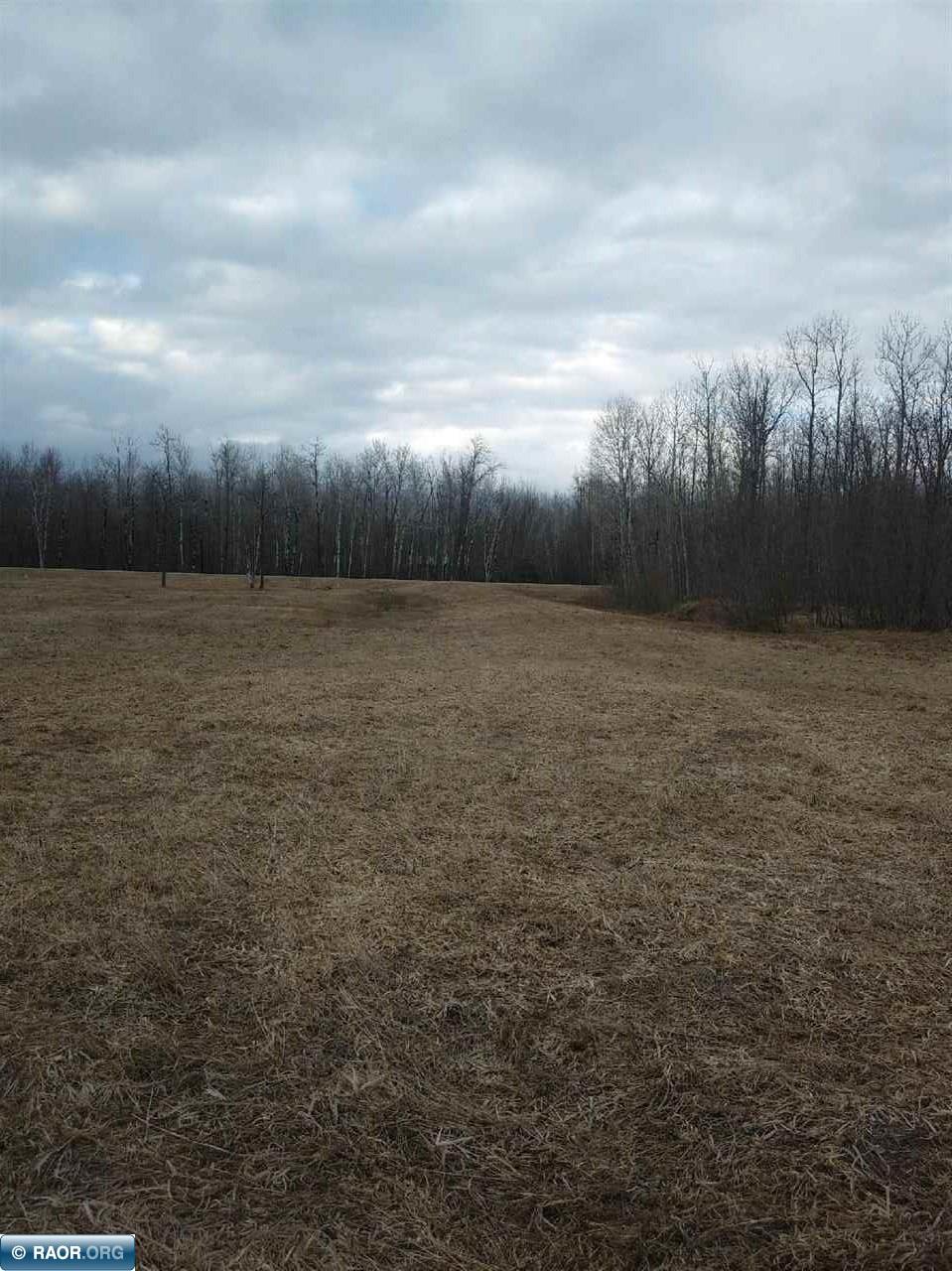 Tbd Artesian Spring Road Northeast Kelliher, MN 56650 - Photo 3 of 7