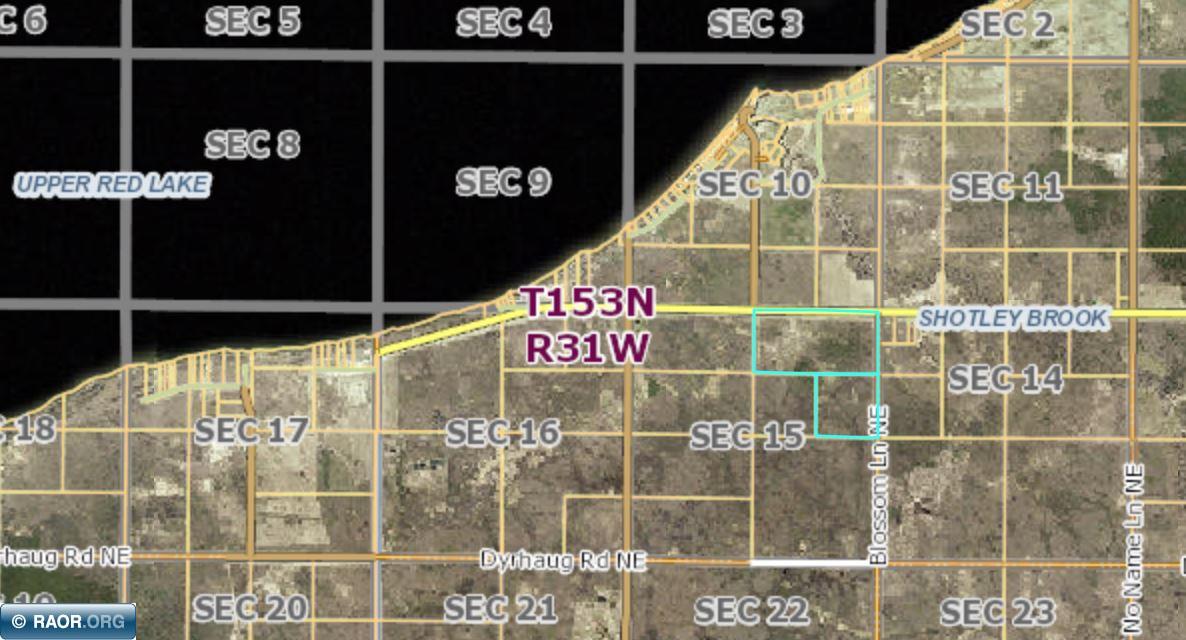 Tbd Artesian Spring Road Northeast Kelliher, MN 56650 - Photo 4 of 7