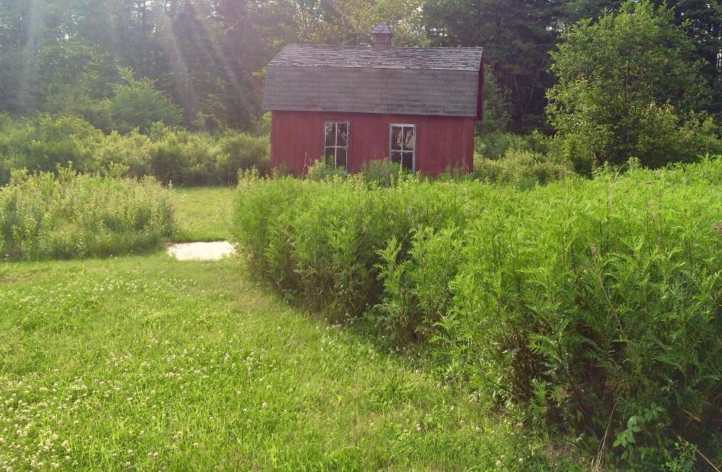 143 Tremont Road Bass Harbor, ME 04653 - Photo 20 of 29 Sunny back yard and field.