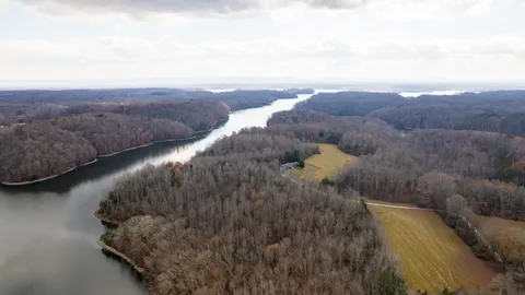 a close up of a plant