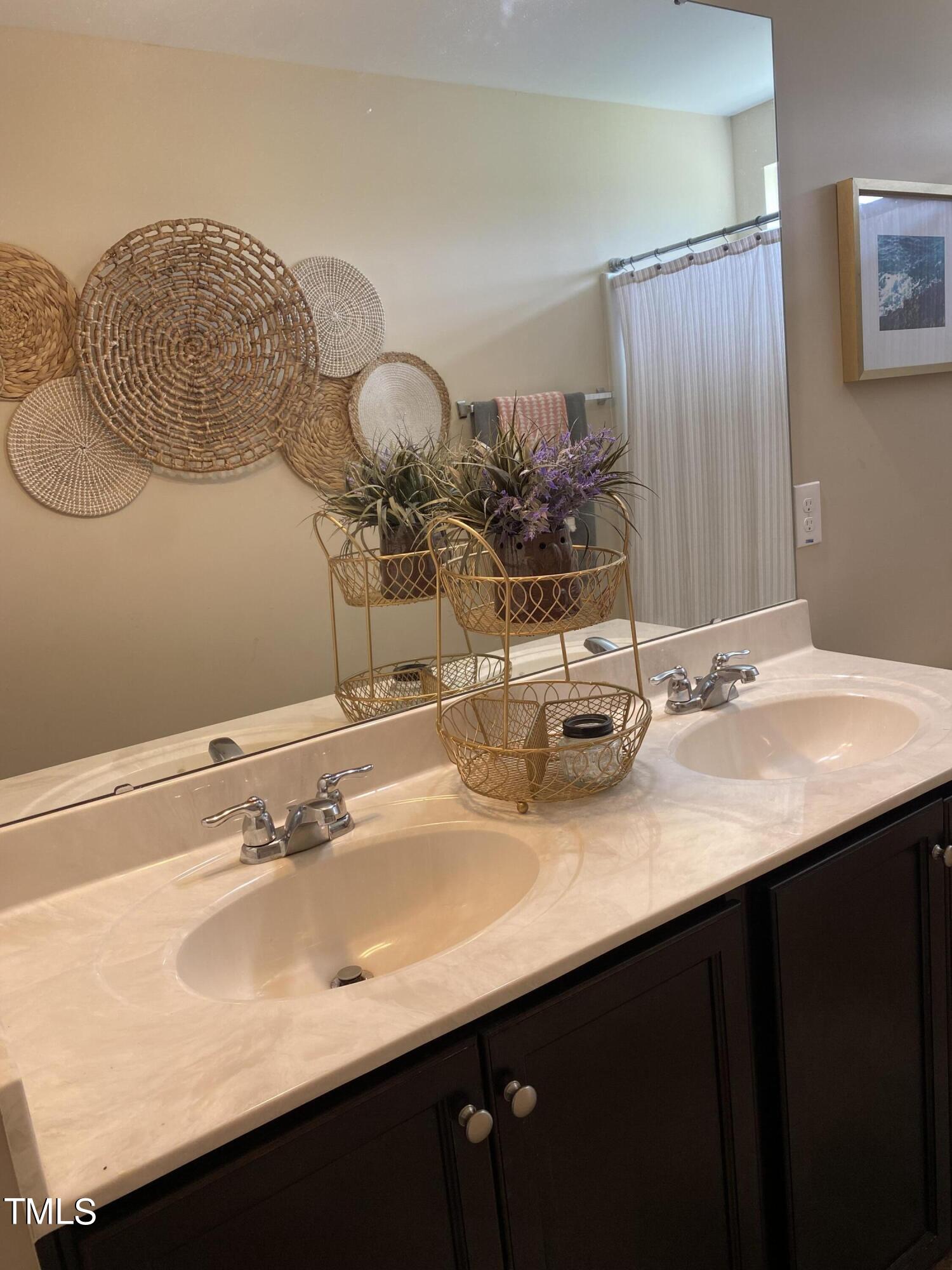 8305 Pin Cherry Drive Willow Spring, NC 27592 - Photo 33 of 60 a bathroom with a sink and a mirror