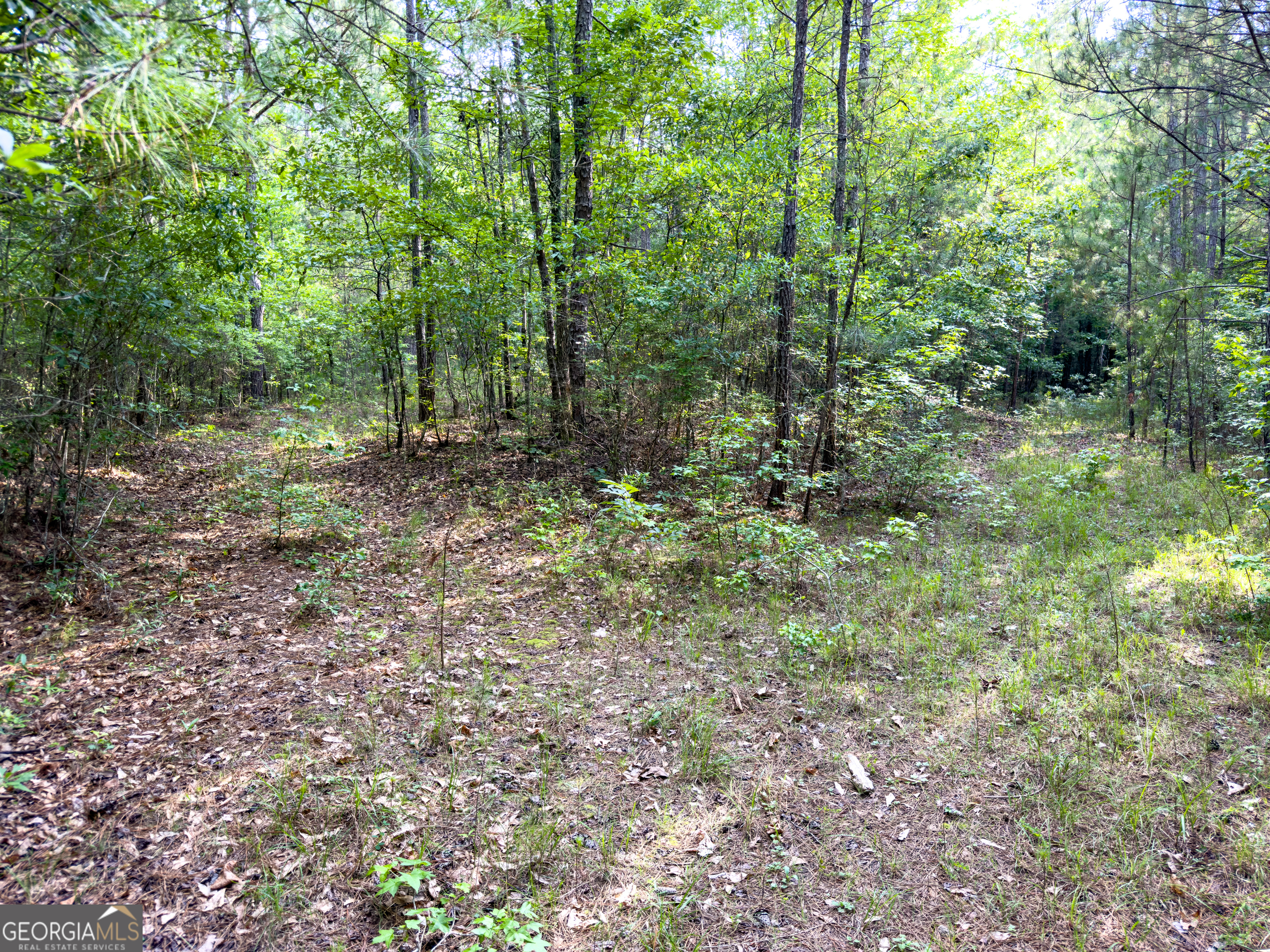 0 John Trammell Road Luthersville, GA 30251 - Photo 11 of 19