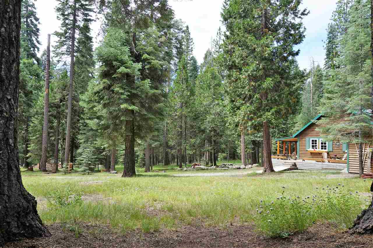 5573 Red Fir Road McCloud, CA 96057 - Photo 26 of 27 Gallery Image 26