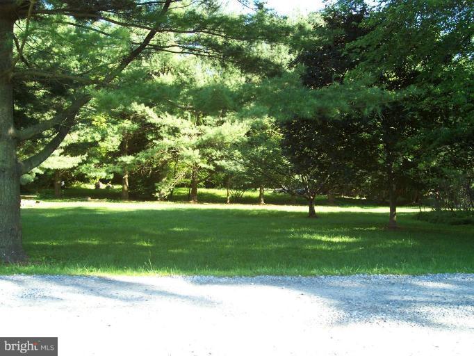 210 Heil Road Silver Spring, MD 20905 - Photo 4 of 4 View Across the Street