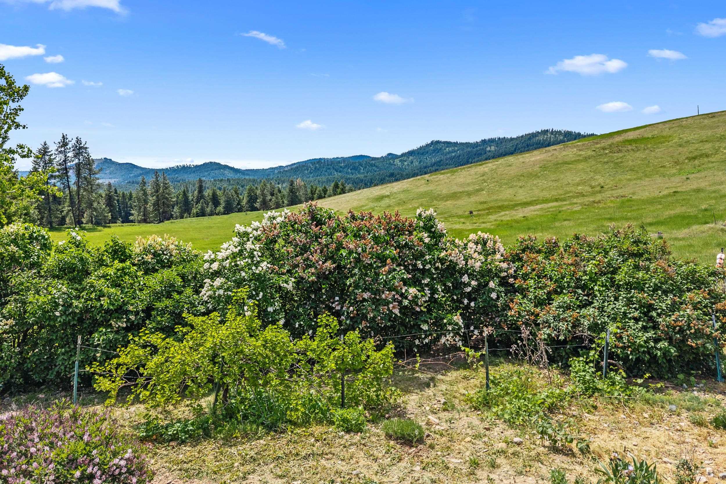 2558 Grimm Road Addy, WA 99101 - Photo 27 of 47