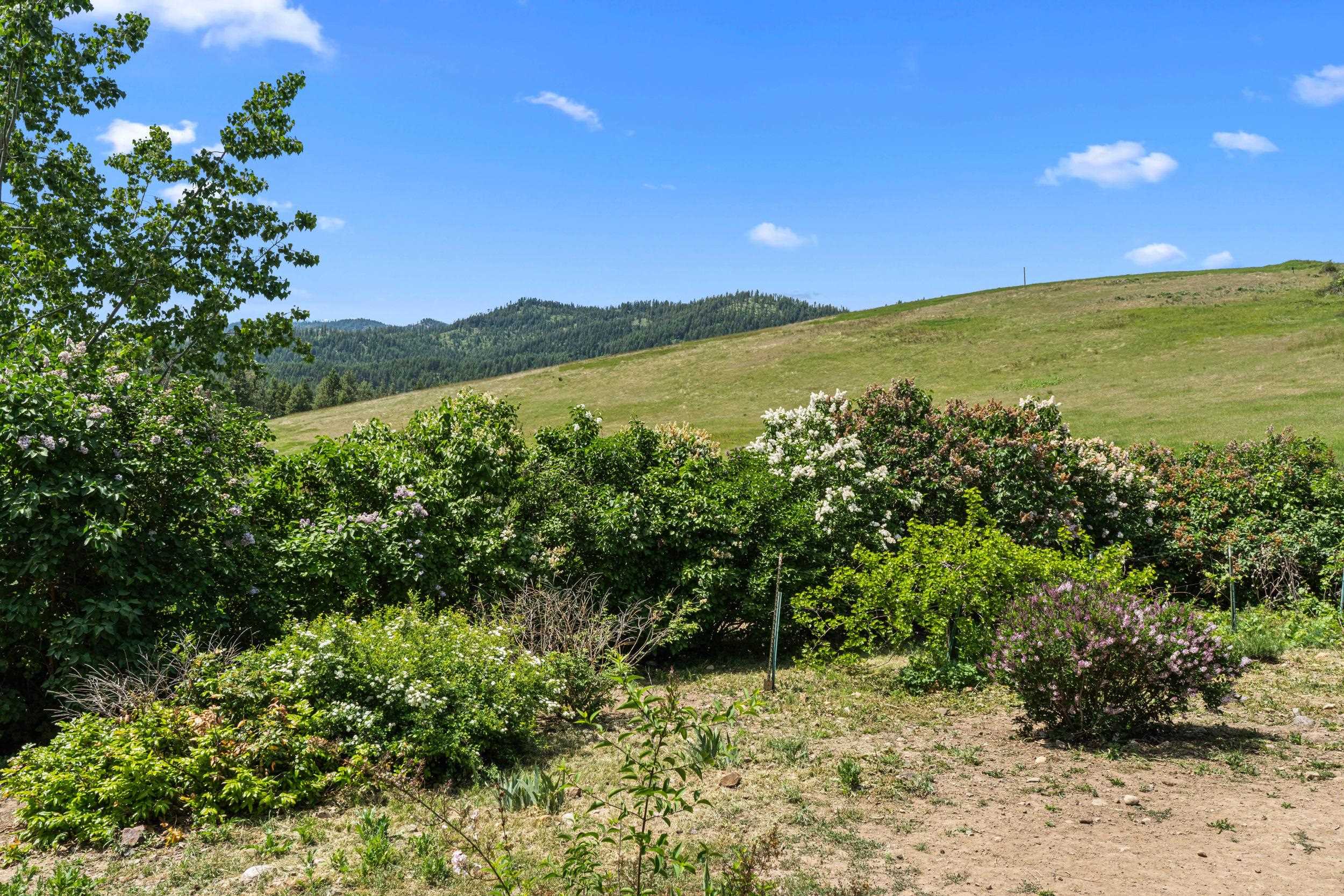 2558 Grimm Road Addy, WA 99101 - Photo 46 of 47