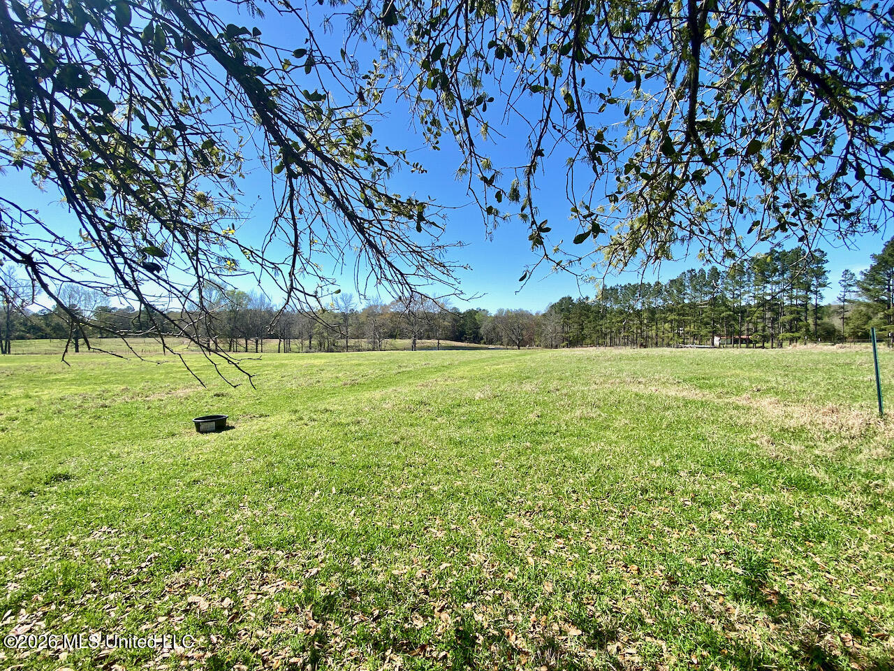 1133 Hancock Road Lucedale, MS 39452 - Photo 43 of 71 IMG_8482