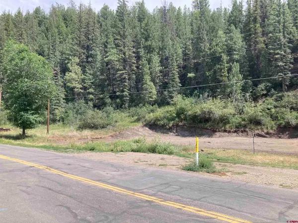 a view of a yard and road