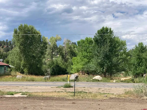 a street view with large trees