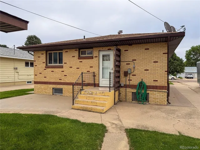 a view of a backyard with plants and large tree