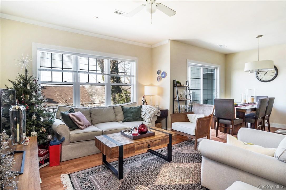 297 West Post Road White Plains, NY 10606 - Photo 5 of 23 Sun drenched living room