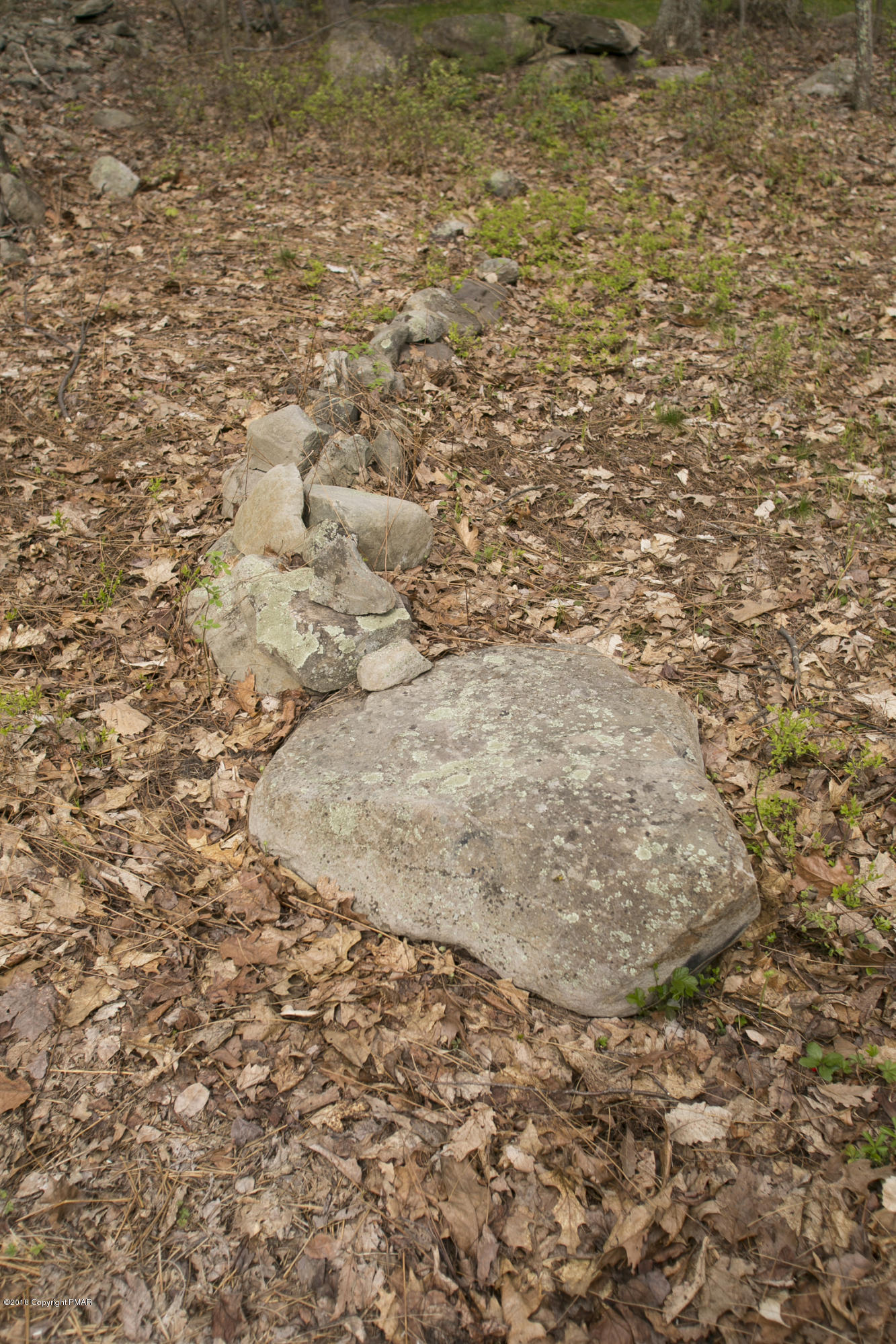 223 Cactus Road Stroudsburg, PA 18360 - Photo 37 of 38 a view of a yard