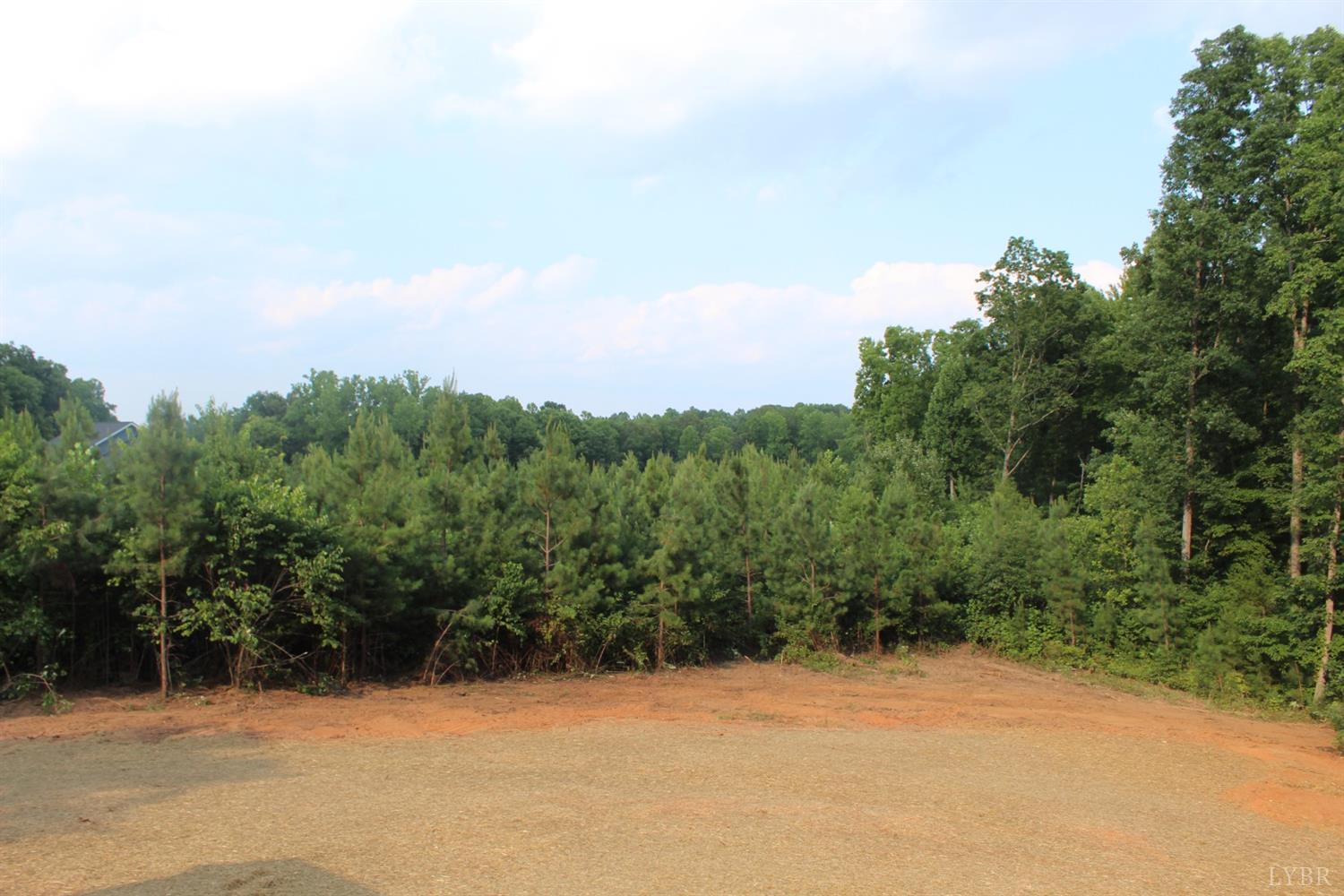 266 Spring Grove Road Spout Spring, VA 24593 - Photo 21 of 28