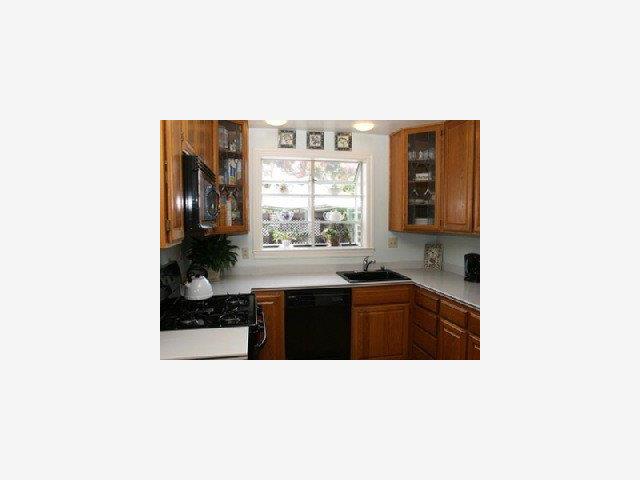 1227 Rhus Street San Mateo, CA 94402 - Photo 9 of 9 a kitchen with a sink and cabinets