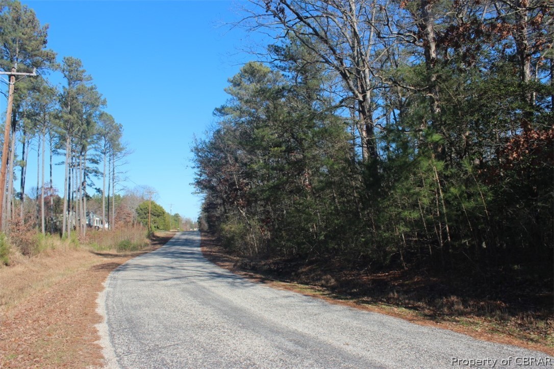 16.3-ac Pierce Road Saluda, VA 23149 - Photo 18 of 18