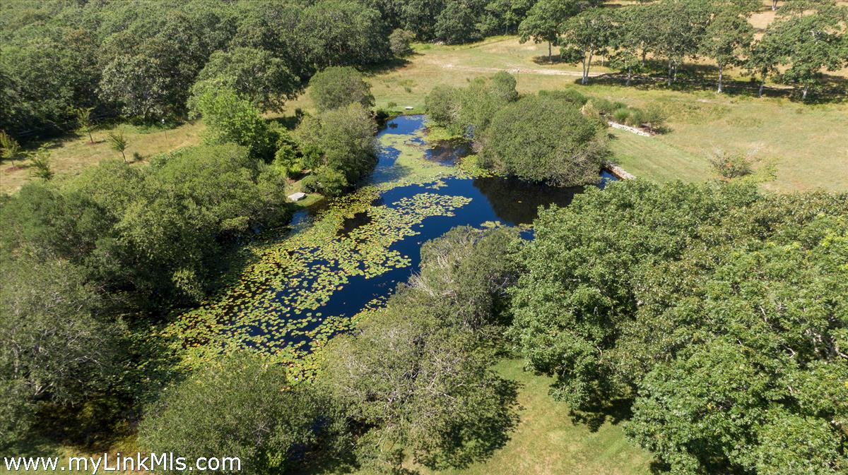 32 Boldwater Road Edgartown, MA 02539 - Photo 49 of 55 a view of a lake with large trees
