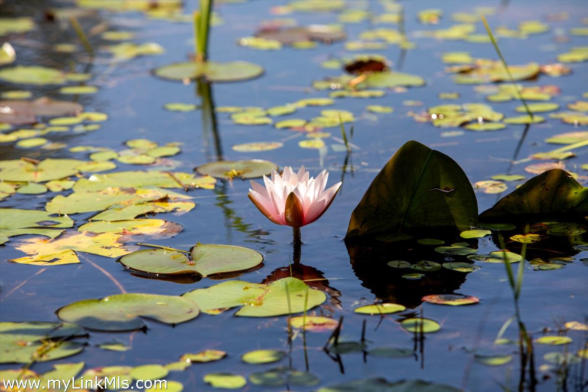 32 Boldwater Road Edgartown, MA 02539 - Photo 51 of 55 a picture of a table and chairs in patio
