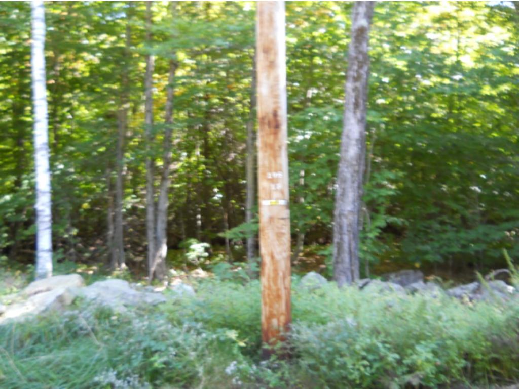 0 Little Pond & Marsh Hill Road Andover, VT 05143 - Photo 2 of 8 Gallery Image 2