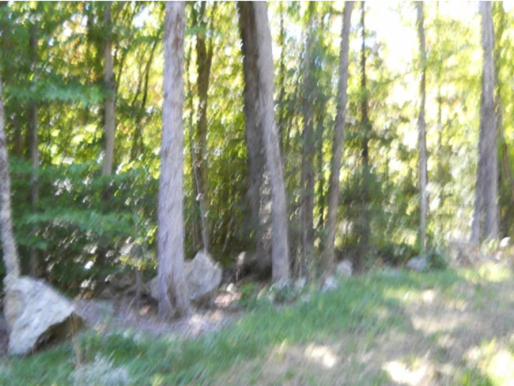0 Little Pond & Marsh Hill Road Andover, VT 05143 - Photo 6 of 8 Gallery Image 6