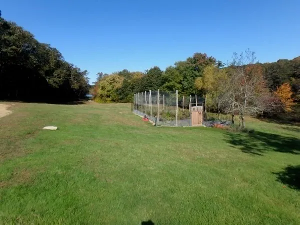 a view of a big yard with a house in the background