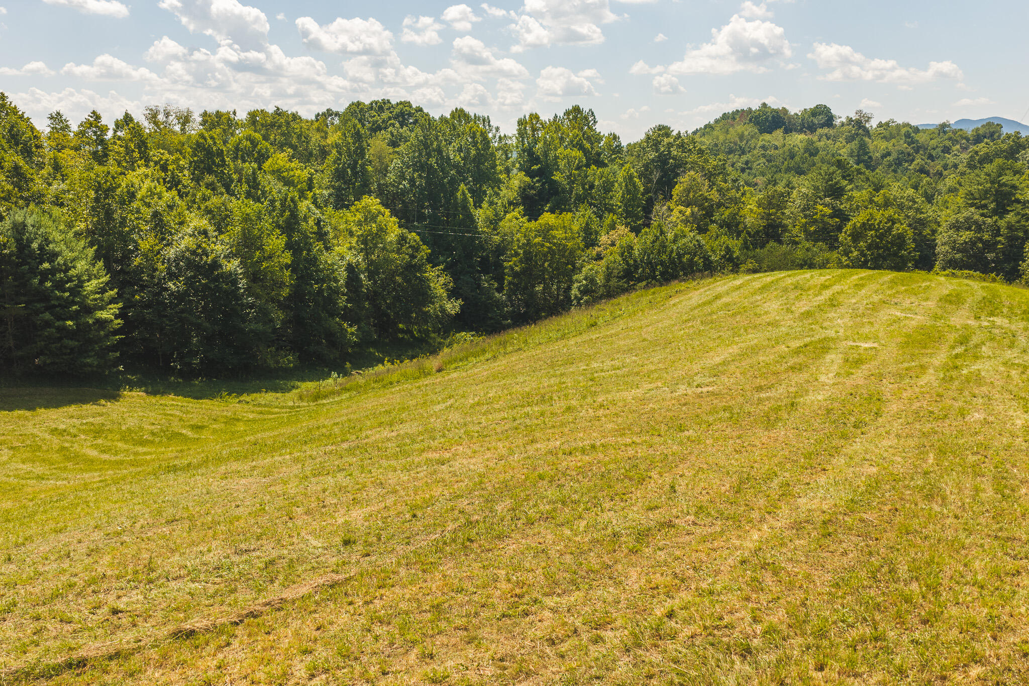 5902 Chestnut Ridge Road Riner, VA 24149 - Photo 28 of 50 DJI_20260903135058_0977_D