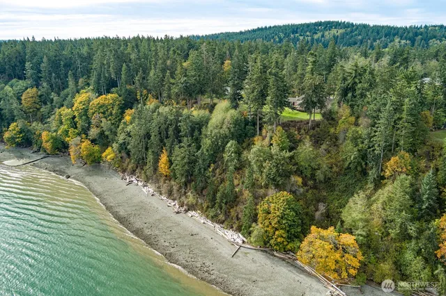 a view of a garden with trees