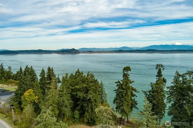 a view of a lake from a yard