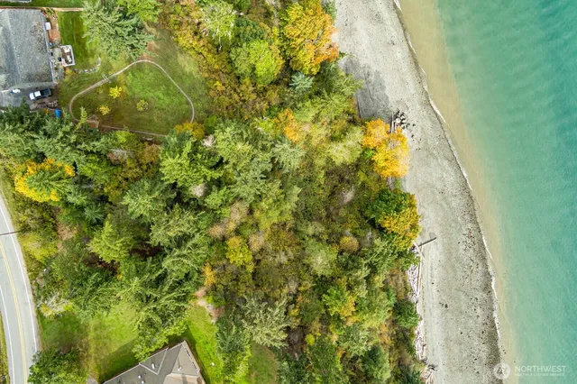 a view of a garden with plants