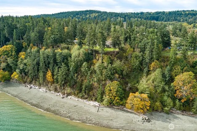 a view of a yard with plants